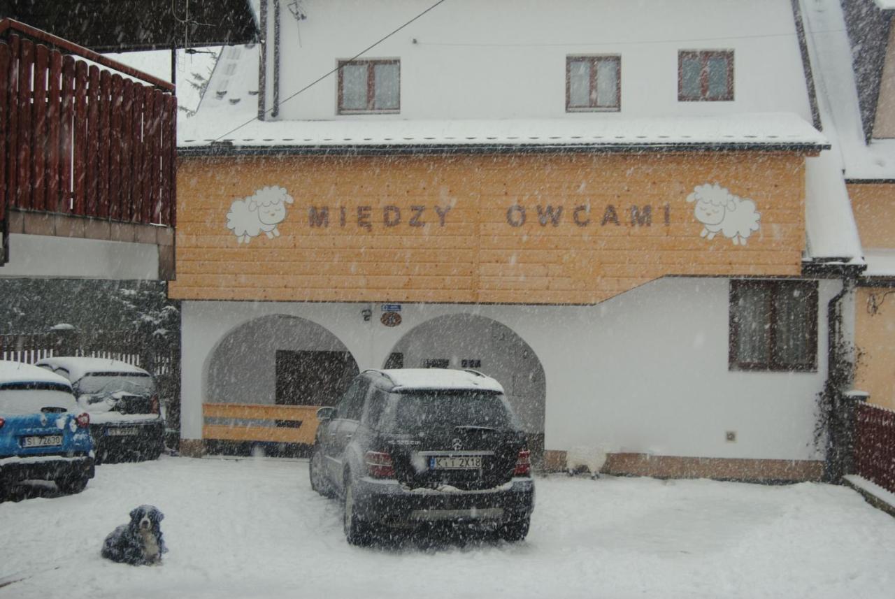 Miedzy Owcami Apartment Сромовце Вижне Екстериор снимка