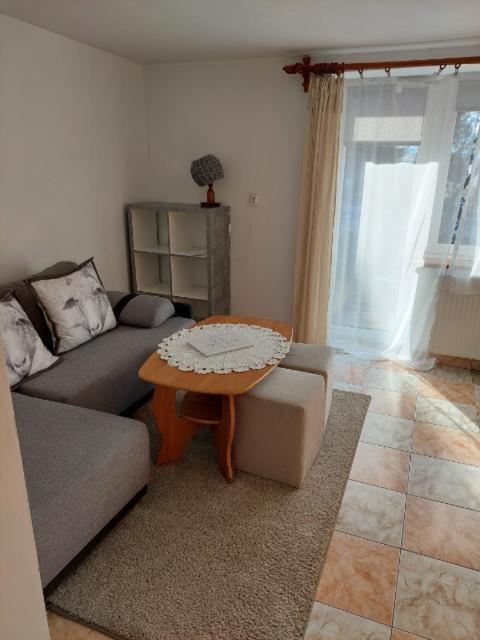 Miedzy Owcami Apartment Сромовце Вижне Екстериор снимка